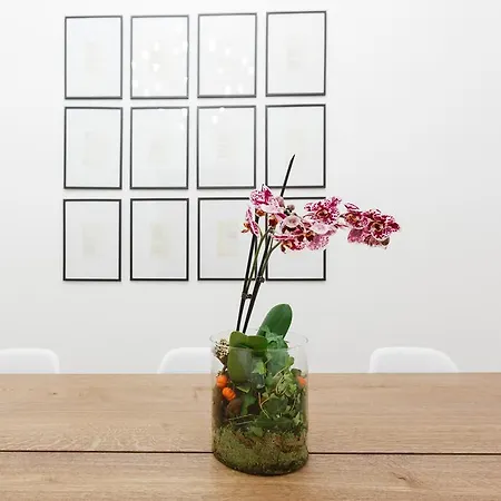 Modern Comfort, Poetic Charm Apartamento Roma